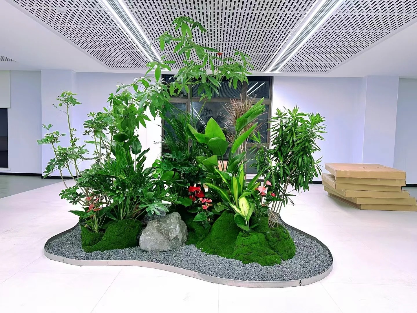 专业植物租赁,让前湾生活绿意盎然