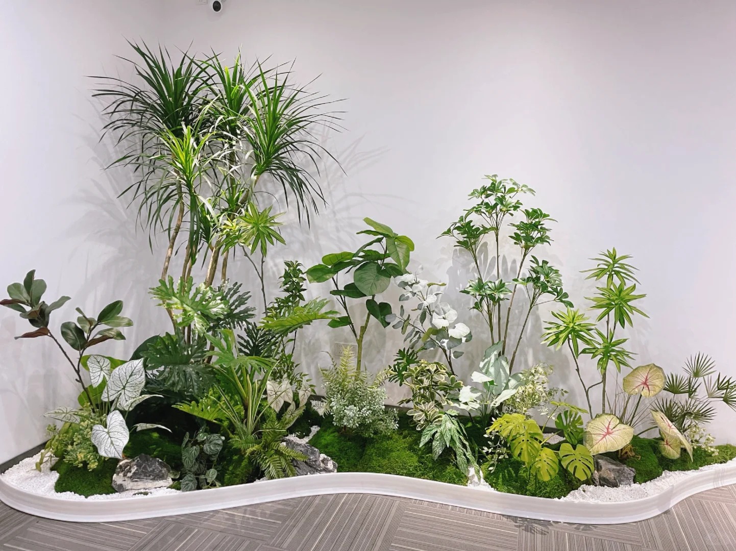 专业植物租赁,让前湾生活绿意盎然